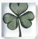 Dark Green Three-Leaf Clover