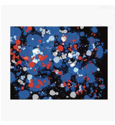 Photographic Prints